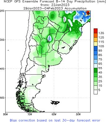 WEEK 2 Forecast Total