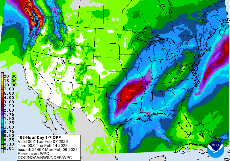 FI Evening Grain Comments 02/06/23