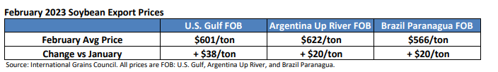 FI Evening Grain Comments 03/08/23