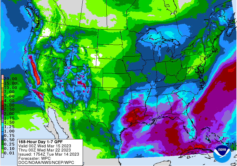 FI Evening Grain Comments 03/14/23