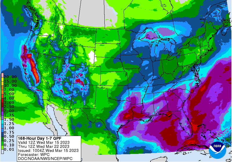 FI Evening Grain Comments 03/15/23