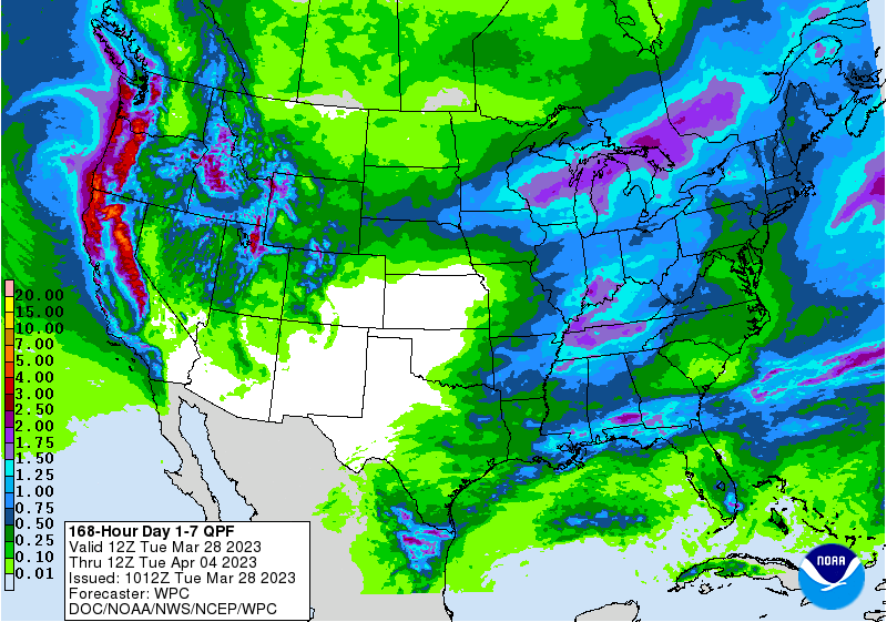 FI Evening Grain Comments 03/28/23